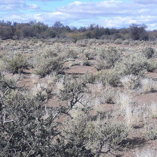 0 Bedroom Property for Sale in Brandvlei Northern Cape